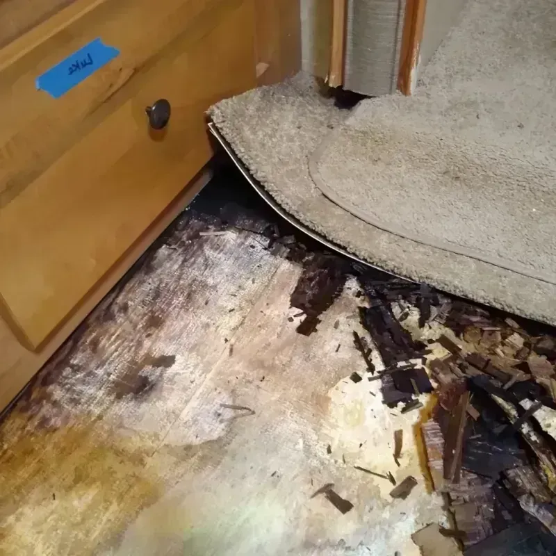 Best Wood Floor Water Damage Service in Pineville, KY